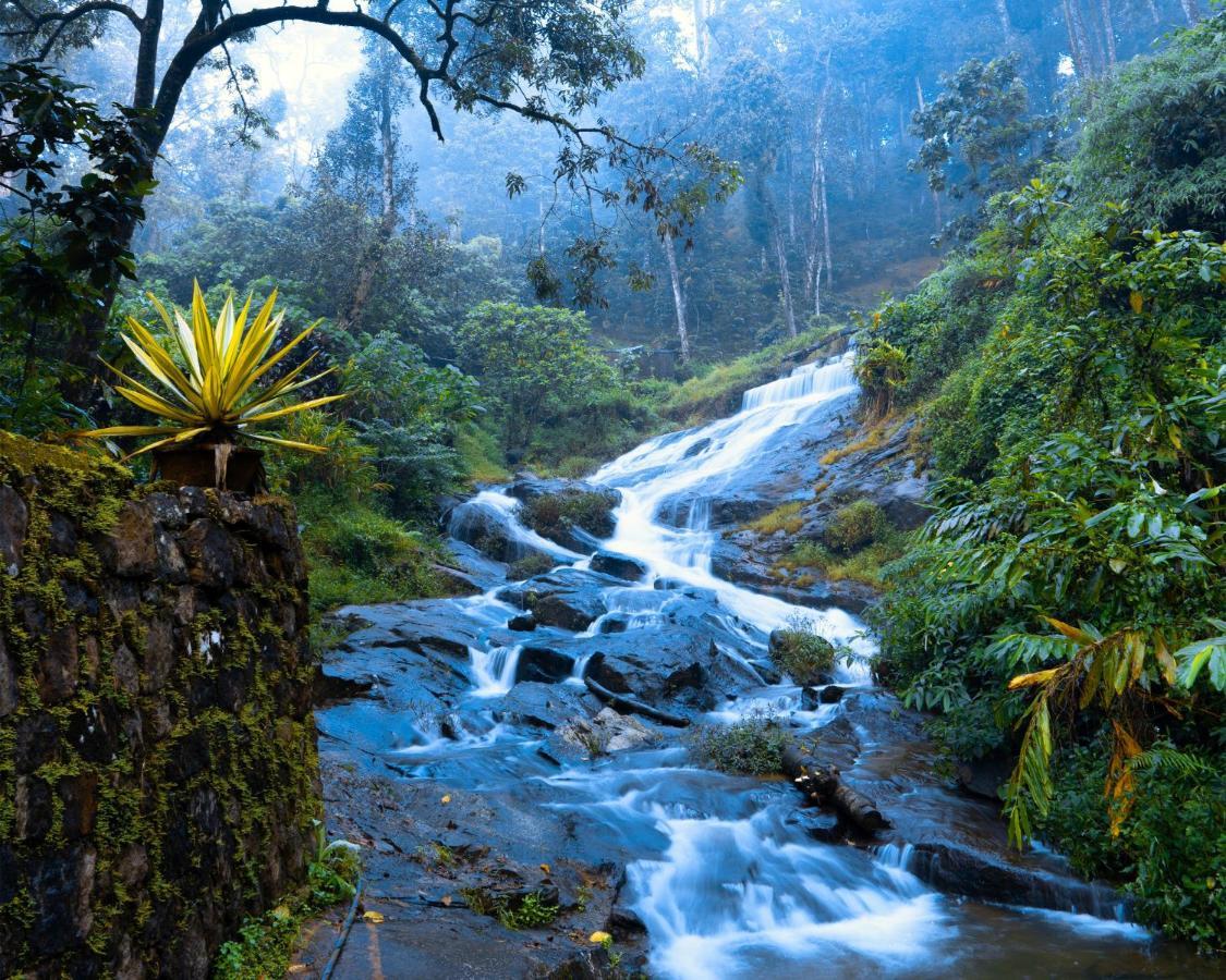 Falling Waters Munnar Exterior foto