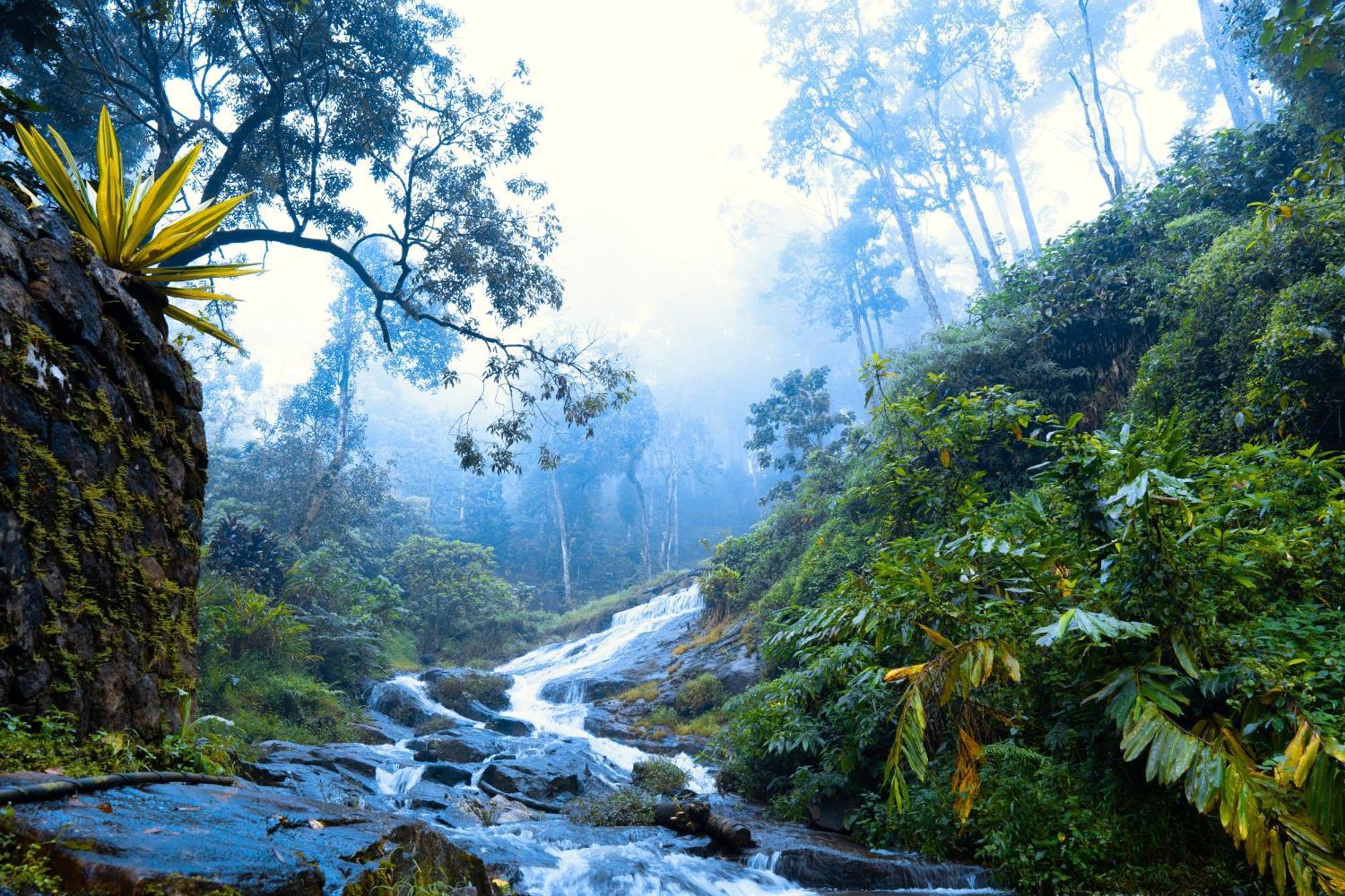 Falling Waters Munnar Exterior foto